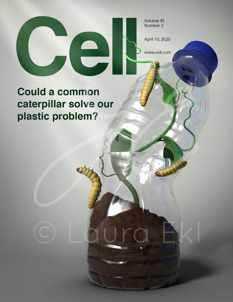 Waxworm plastic editorial journal cover